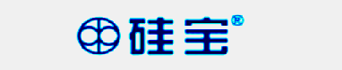成都硅宝科技股份有限公司