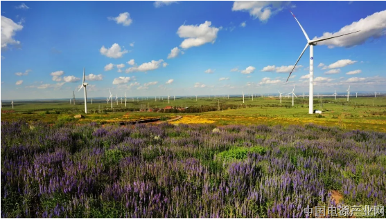 呼声阵阵 可再生能源配额制为何总差“临门一脚”？