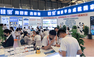 把脉光伏太阳能市场，助力行业高质量发展——硅宝科技最强阵容亮相SNEC光伏展