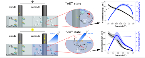 天津工生所在酶生物燃料电池的开关元件研究中取得进展
