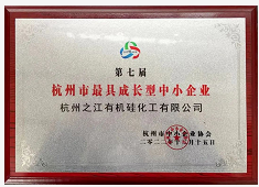 杭州之江公司荣获第七届杭州市最具成长型中小企业和优秀中小企业家荣誉