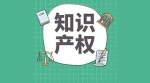 提供贴心服务，荣获信息服务之星