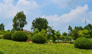 新修订的《中国共产党纪律处分条例》解读来了