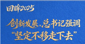看图学习·回眸2025丨创新发展，总书记强调“坚定不移走下去”