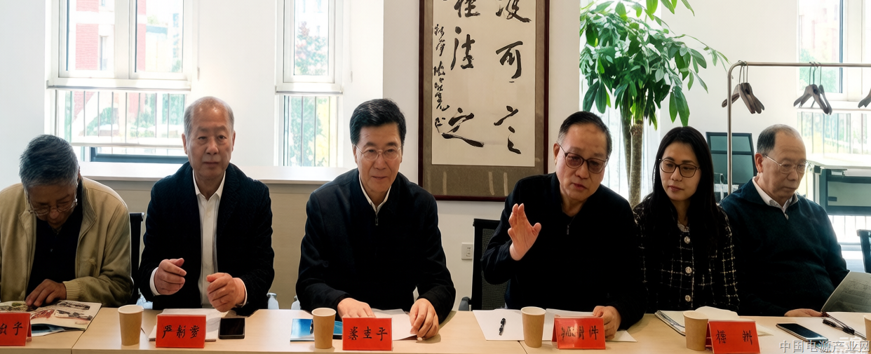 中国机电一体化技术应用协会电能系统分会、北京电源行业协会联合牵头多协会组团赴雄安考察，助推“赛能（中国）实验室”落地