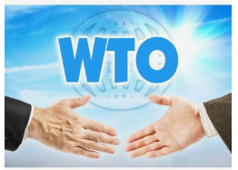 WTO技贸措施通报速递（5月7日）