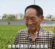 让袁隆平挠头的博士，带来好消息