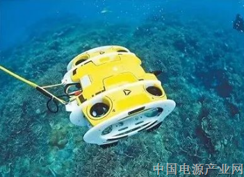 海底冒出一双“大眼睛”，凑近一看是……